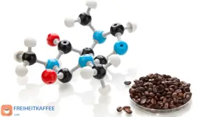 Woraus besteht koffeinfreier Kaffee und wie wird er hergestellt