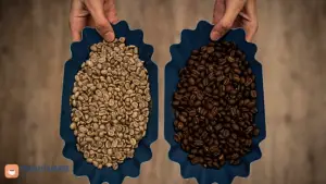 Unterschiede zwischen grünem und geröstetem Kaffee